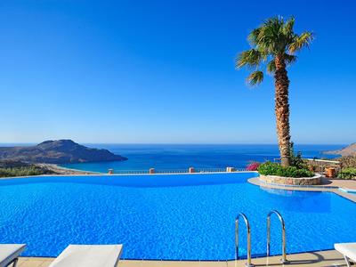 Piscine à débordement avec palmiers et vue sur la mer sous un ciel bleu clair.