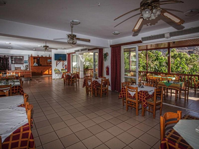 Großer, heller Gastraum mit Holzstühlen, karierten Tischdecken und großen Fenstern mit Blick ins Grüne.