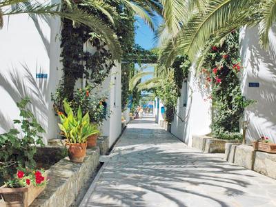 Passage étroite ensoleillée avec des murs blancs et des plantes en pot luxuriantes.