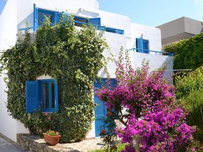 Maison blanche avec fenêtres et portes bleues entourée de plantes vertes et violettes.
