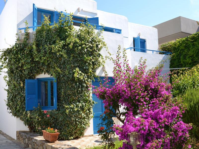 Casa bianca con finestre blu circondata da piante verdi e fiori viola.
