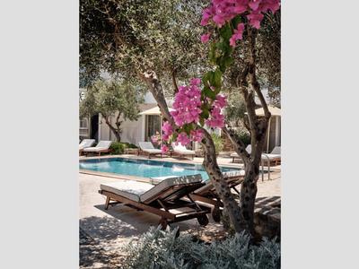 Poolbereich mit Liegestühlen und pinken Blüten an einem Baum in einer ruhigen Hotelanlage.