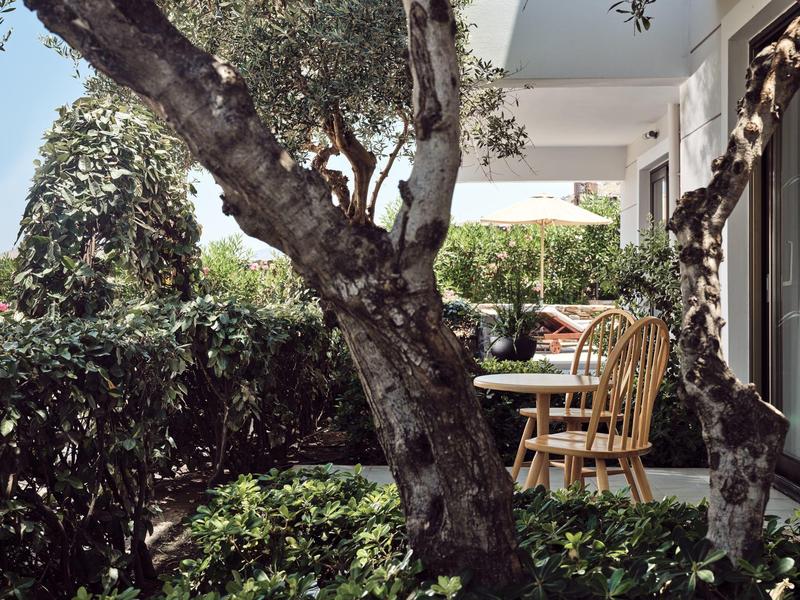 Ein Garten mit Büschen, zwei Holzstühlen und einem Baum vor einem Haus mit Terrasse.