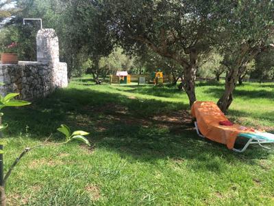 Zelený trávník s olivovníky, kamennou fontánou a lehátky s oranžovými ručníky.