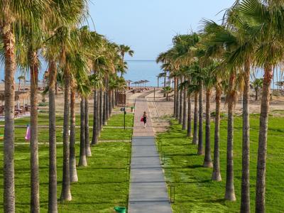 Ein gepflasterter Weg zwischen zwei Reihen von Palmen führt zu einem Strand mit Sonnenschirmen am Meer.