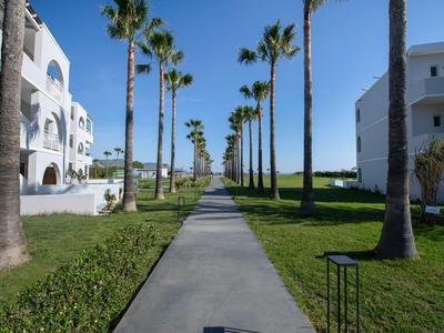 Ein betonierter Weg entlang von Palmen mit weißen Gebäuden auf beiden Seiten und blauem Himmel.