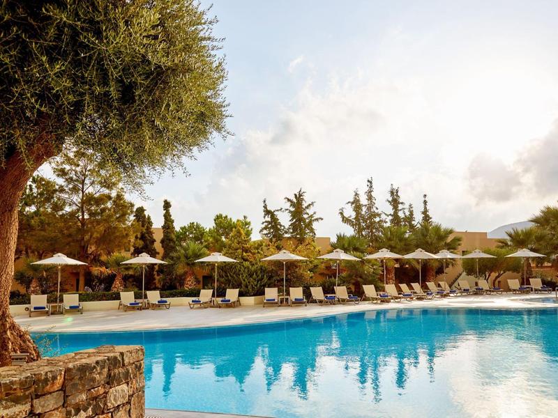 Grande piscina all'aperto circondata da lettini e ombrelloni davanti agli alberi al sole.