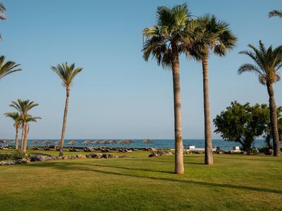 Grüne Wiese mit mehreren Palmen und Blick auf das blaue Meer unter klarem Himmel.