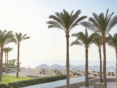 Strand mit Palmen, Liegestühlen und Sonnenschirmen, ruhiges Meer im Hintergrund.