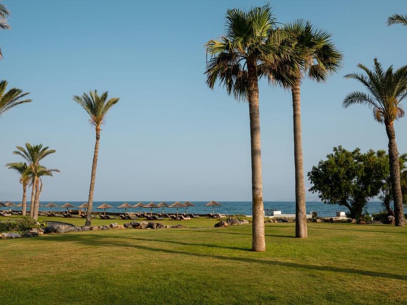 Grüne Wiese mit mehreren Palmen und Blick auf das blaue Meer unter klarem Himmel.