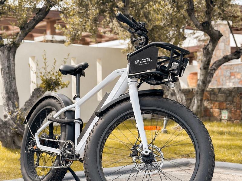 Weißes E-Bike mit breiten Reifen und Korb vorne, steht auf Sandboden vor Bäumen und Haus.