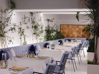 Elegancka hotelowa jadalnia z białymi stołami i niebieskimi krzesłami, udekorowana zielonymi roślinami.