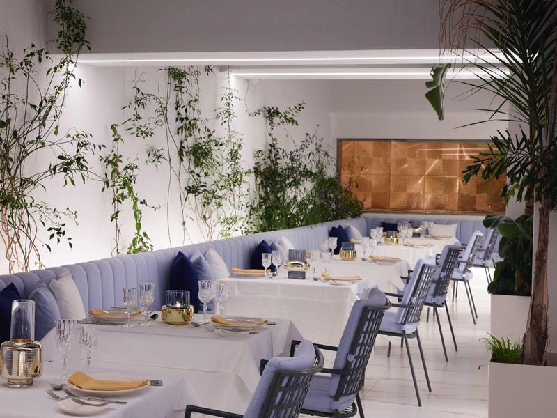 Elegancka hotelowa jadalnia z białymi stołami i niebieskimi krzesłami, udekorowana zielonymi roślinami.