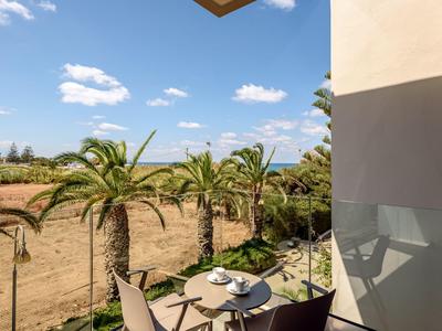 Vue depuis un balcon sur une zone sèche avec des palmiers sous un ciel bleu.