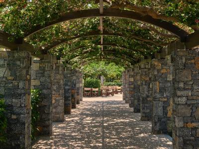 Ein schattiger Weg mit Steinbögen und grünem Blätterdach in einem Garten.