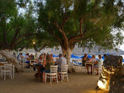 Goście siedzą na zewnątrz pod dużymi drzewami przy stołach restauracyjnych na plaży.
