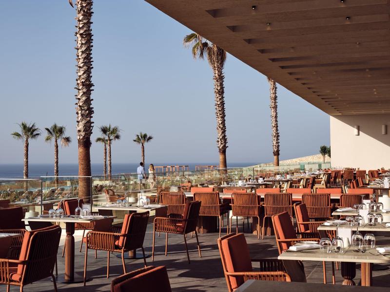 Sunny outdoor restaurant with ocean view and palm trees, featuring red chairs and tables.