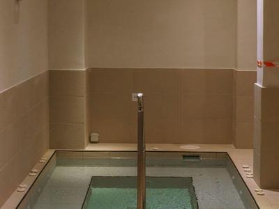 Small indoor spa pool with handrail and lounge chair in a beige room.