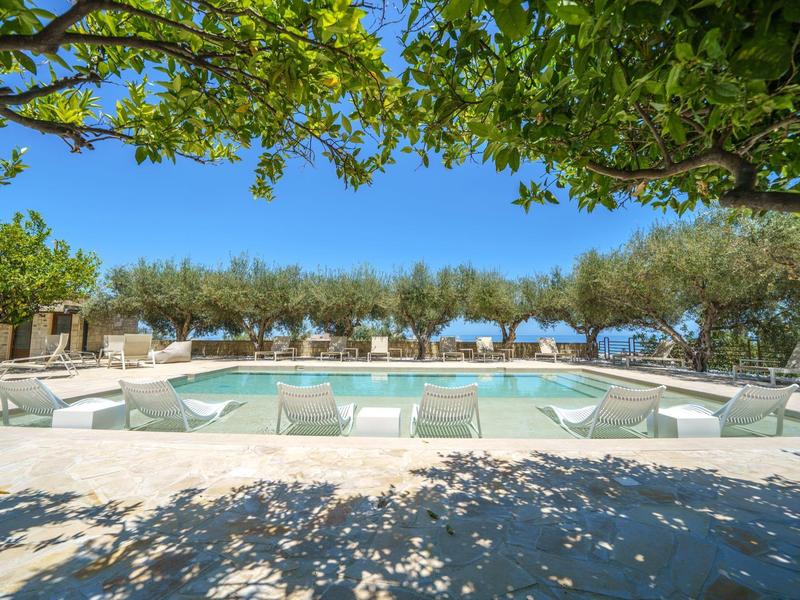 Moderner Swimmingpool mit Sonnenliegen unter Bäumen bei klarem Himmel.