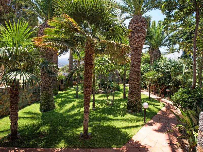 Groene tuin met palmbomen en een geplaveid pad bij zonnig weer.