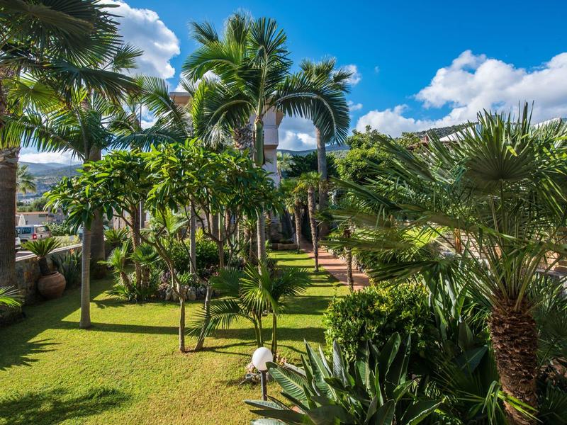 Groene tuin met palmbomen en blauwe lucht bij een hotelresort.