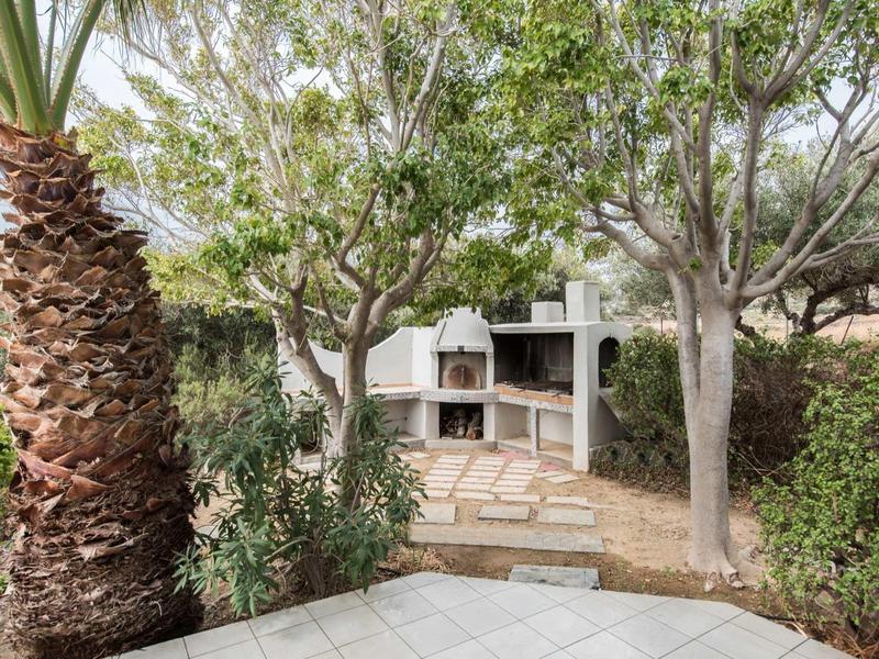 Kamenná grilovací plocha s krytou částí a stromy na zahradě