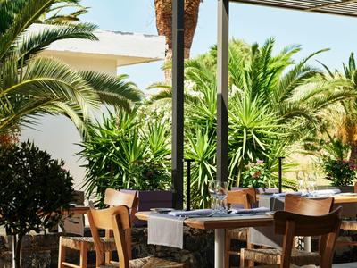 Słoneczny taras restauracyjny z stołami, krzesłami i bujnymi zielonymi roślinami