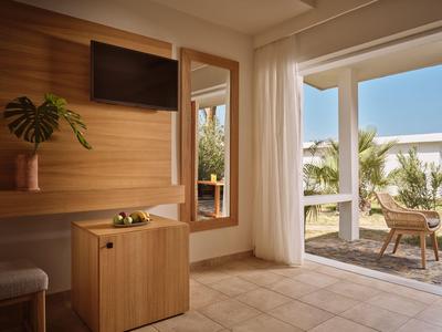 Heller Hotelraum mit Holzverkleidung, TV, Spiegel, Pflanze und Ausgang zu Terrasse.
