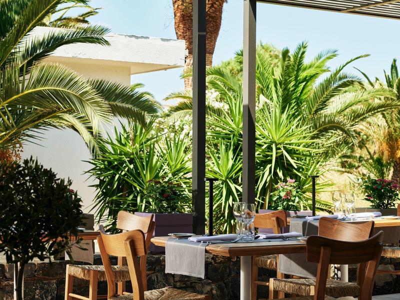 Zewnętrzny teren z miejscami do siedzenia, stołami i krzesłami otoczony palmami i roślinami.