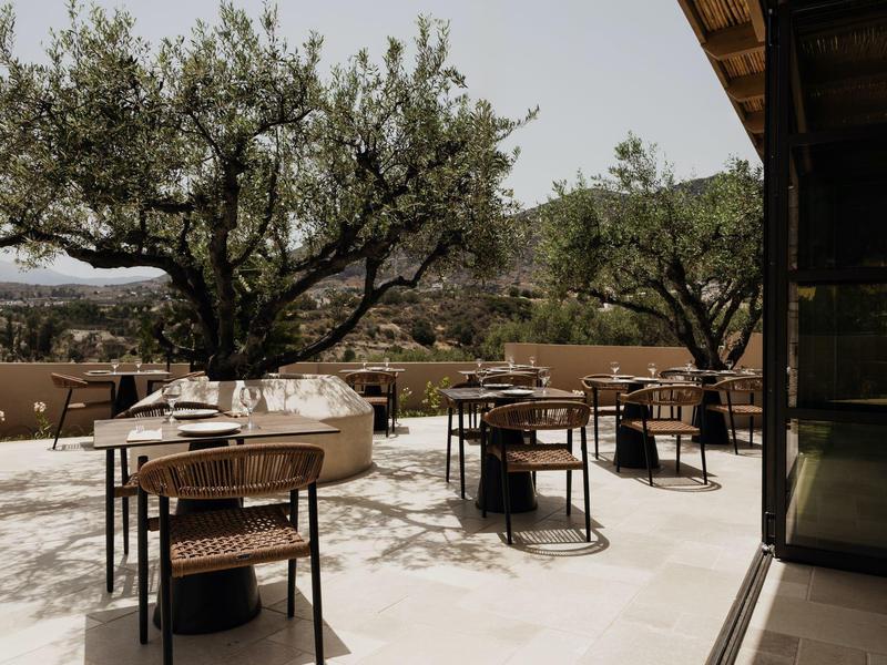 Buiten eetgedeelte met houten tafels, stoelen en grote olijfbomen onder een heldere hemel.