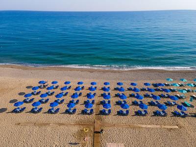 Playa con filas de sombrillas azules y tumbonas junto al mar tranquilo.