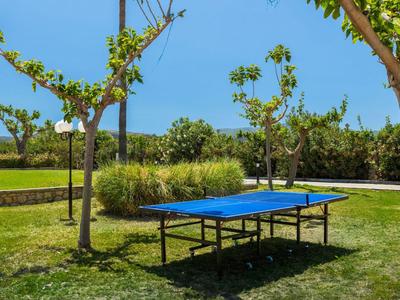 Modrý pingpongový stůl na zahradě s zelenou trávou a stromy pod modrou oblohou.