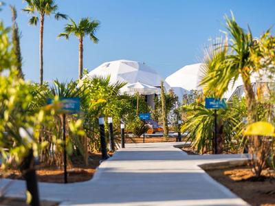 Ścieżka z palmami i białymi parasolami pod czystym niebem w hotelowym ogrodzie.