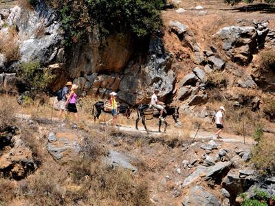 Grupa wędrowców z osłami na wąskiej, skalistej ścieżce w suchym, górzystym krajobrazie.