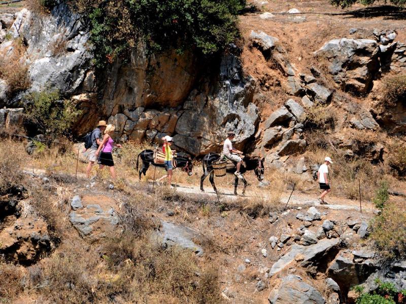 Menschen wandern mit Lasttieren auf einem felsigen, trockenen Bergpfad mit spärlicher Vegetation.