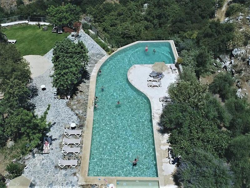 Rechteckiges Schwimmbecken mit Sonnenschirmen und Liegestühlen, umgeben von grünem Buschwerk.