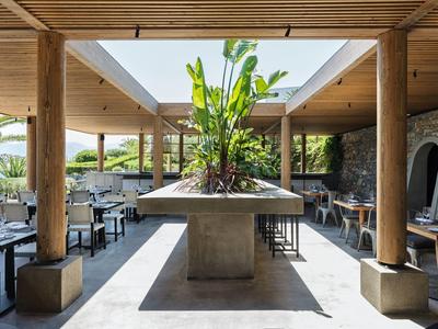 Modernes, offenes Restaurant mit Holzdecke und Pflanzen im Zentrum