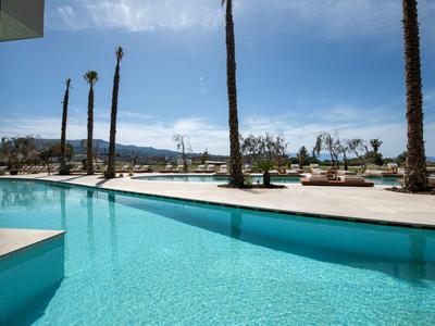 Modern outdoor pool with palm trees under a blue sky at a hotel resort.
