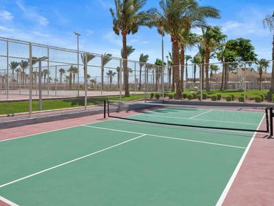 Freiluft-Tennisplatz mit grünem Belag und Palmen im Hintergrund