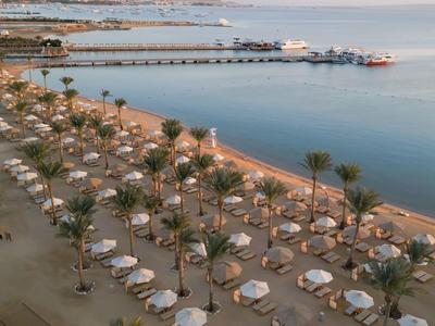 Plage avec de nombreux parasols et chaises longues le long d'une côte calme avec des palmiers.