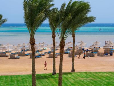Strand mit Palmen, Sand, Liegestühlen und blauem Meer im Hintergrund.