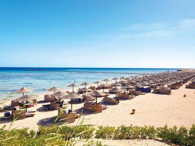 Sunny sandy beach with rows of umbrellas and sunbeds by the clear blue sea.
