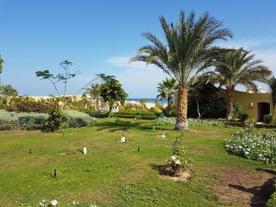 Green garden with palm trees and a view of the sea under clear sky.