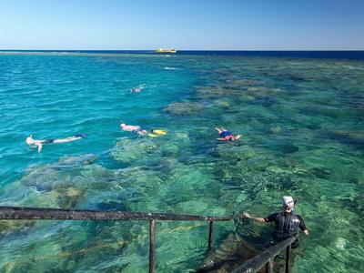 Clear turquoise seawater with coral reef and people swimming and snorkeling.