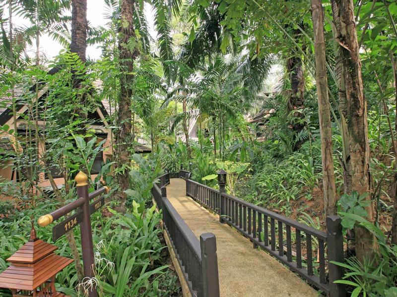 Ein schmaler Holzsteg führt durch dichten, grünen Dschungel mit hohen Bäumen und üppigem Laub.