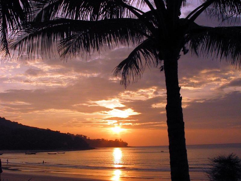 Sonnenuntergang am Strand mit Palmen im Vordergrund und ruhigem Meer.