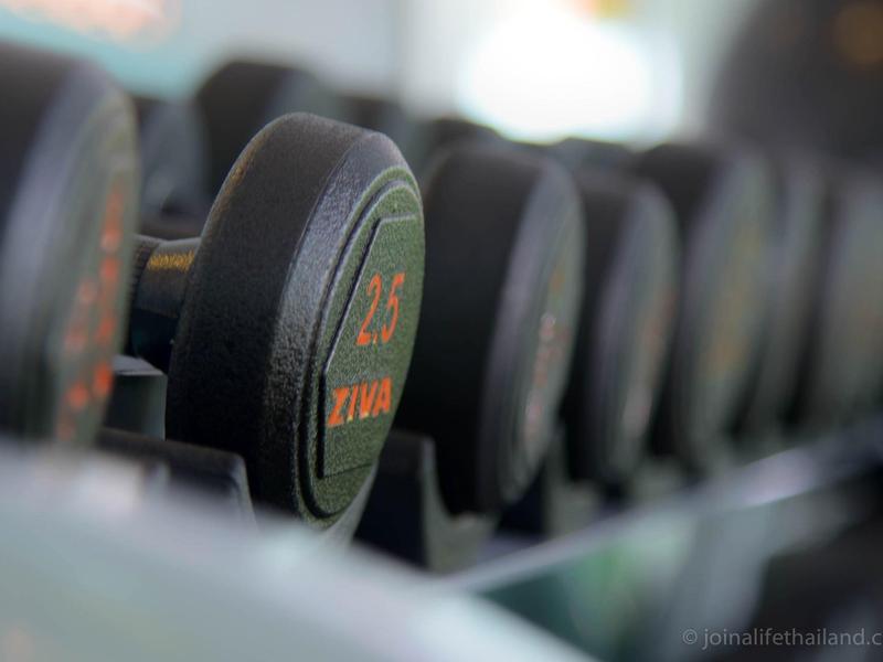 Fila de pesas negras con números rojos en un entorno de gimnasio.
