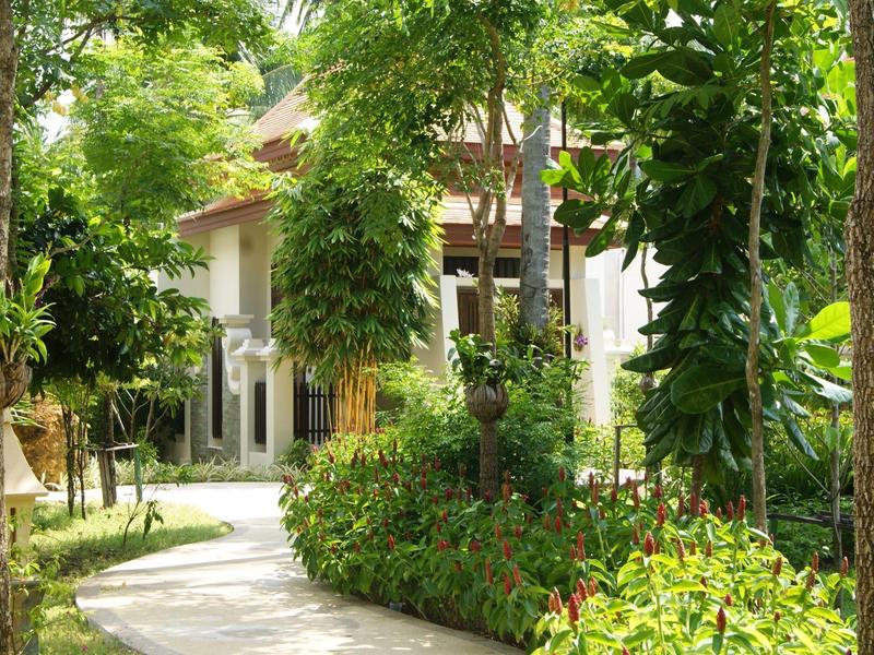 Maison dans un jardin tropical avec chemin pavé et de nombreuses plantes vertes.