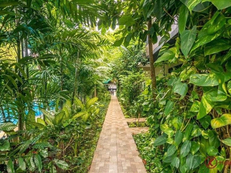 Gepflasterter Weg führt durch dichten, grünen Garten mit großen Blättern und verschiedenen Pflanzen.