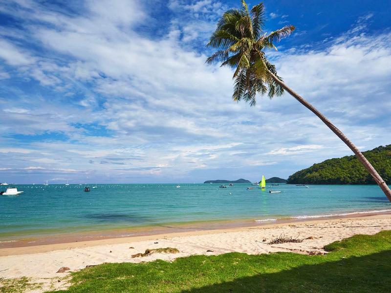 Ein Palmenbaum am weißen Sandstrand mit türkisblauem Meer und bewölktem Himmel.